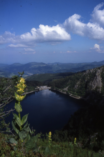 Les Cr�tes - Le tour du Lac Blanc 1300m