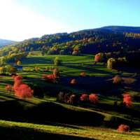 Un automne à Orbey